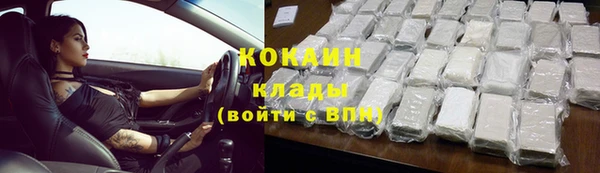 трава Бородино